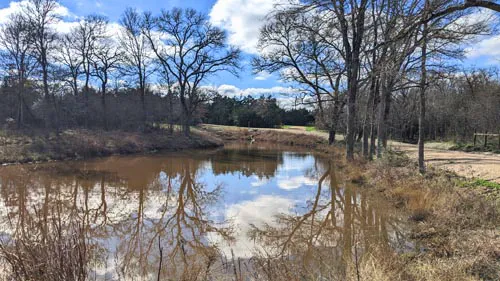 Suhlerville RV Park & More Picture 2