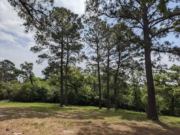 Piney Nook RV Park Picture 2