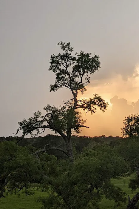 Home Again RV Park Picture 3