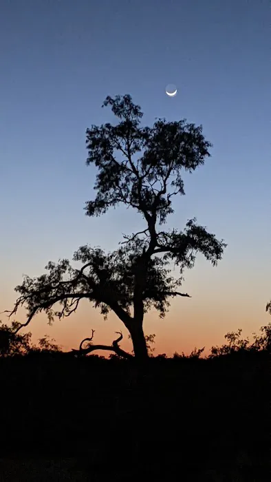 Home Again RV Park Picture 6