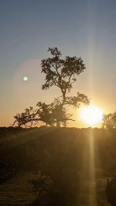 Home Again RV Park Picture 7