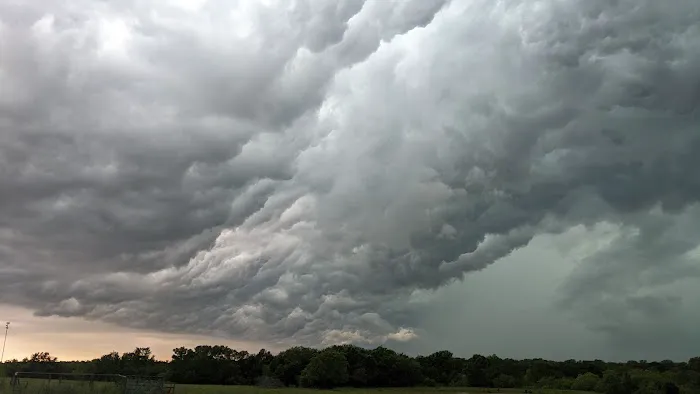 Home Again RV Park Picture 8