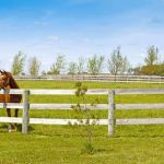 Real Tejas RV Resort