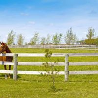 Real Tejas RV Resort ico