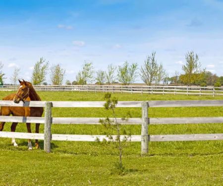 Real Tejas RV Resort