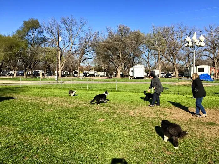 Pecan Park Riverside RV Park Picture 10