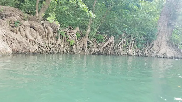 Blind Salamander RV Park Picture 3