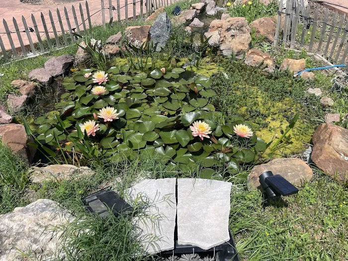 San Marcos Springs RV Park Picture 10