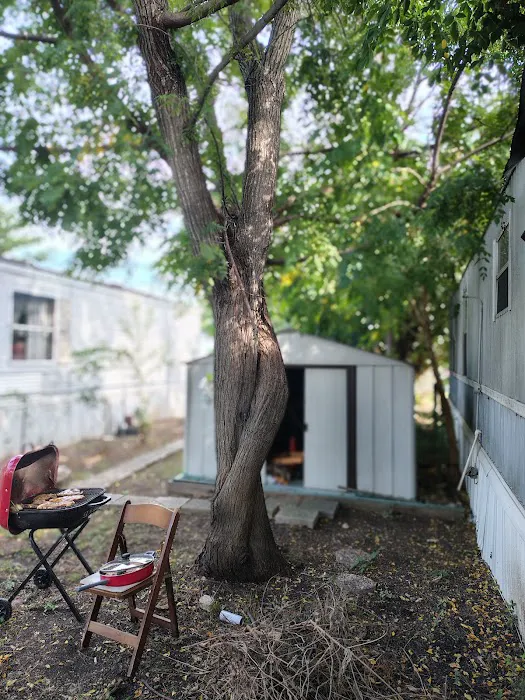 Whispering Oaks Picture 9