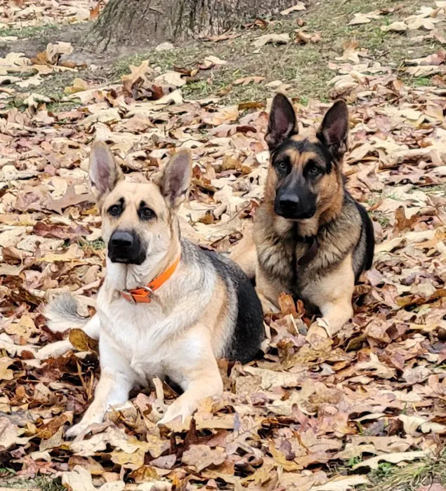 ManCamp RV Camp Picture 7