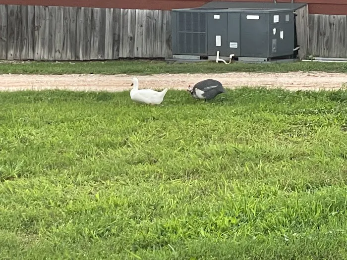 Southbound RV Park and Cabins Picture 8