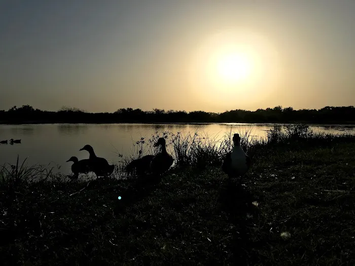 Southbound RV Park and Cabins Picture 4