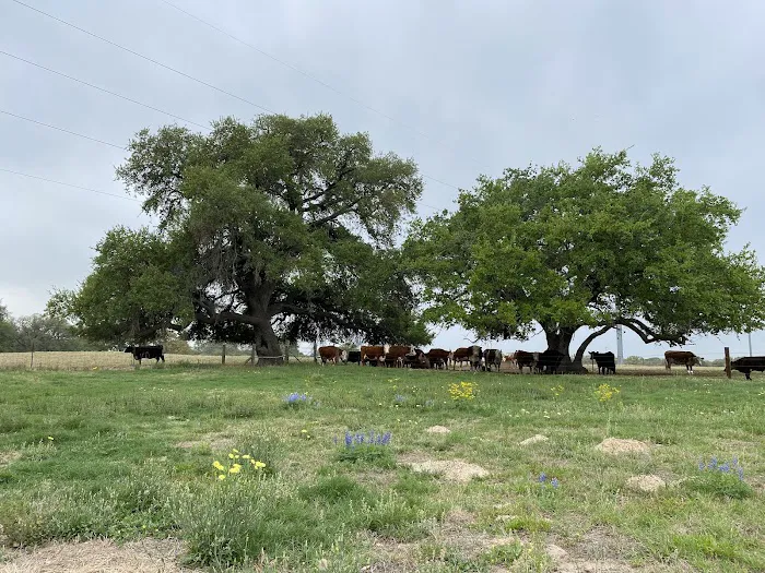 Eagle's Nest RV Park Picture 7