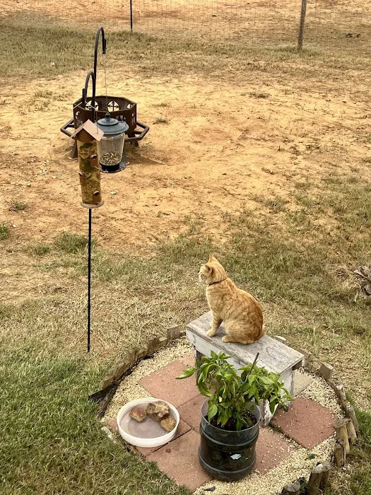 Windmill Crossing RV Park Picture 4