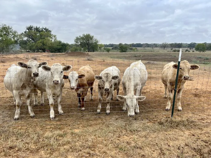 Windmill Crossing RV Park Picture 10