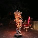 Colet Creek Mobile Country