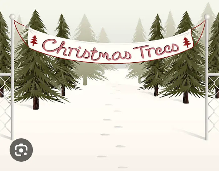 Wilson Christmas Tree Farm and RV Park Picture 1