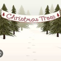 Wilson Christmas Tree Farm and RV Park ico