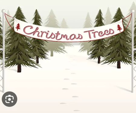 Wilson Christmas Tree Farm and RV Park