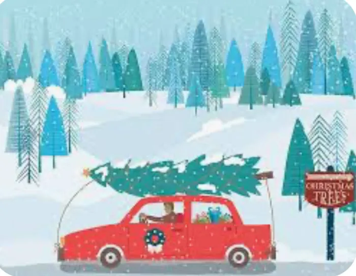 Wilson Christmas Tree Farm and RV Park Picture 6
