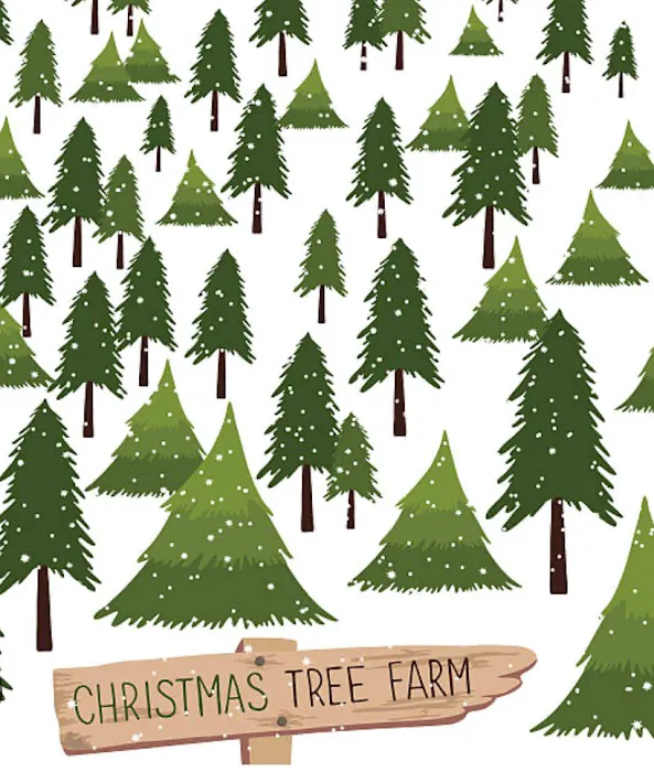 Wilson Christmas Tree Farm and RV Park Picture 7