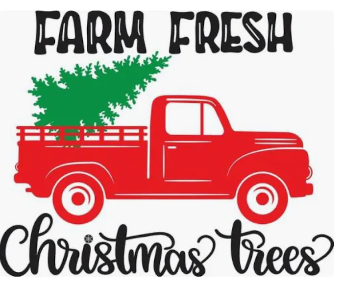Wilson Christmas Tree Farm and RV Park Picture 5
