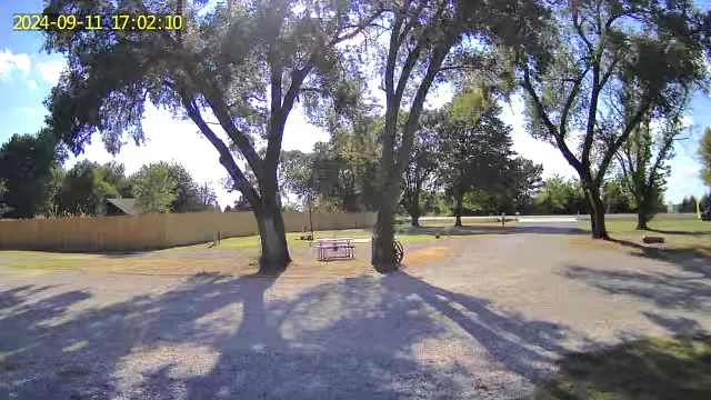 L’Lees rv park and paddocks Picture 5