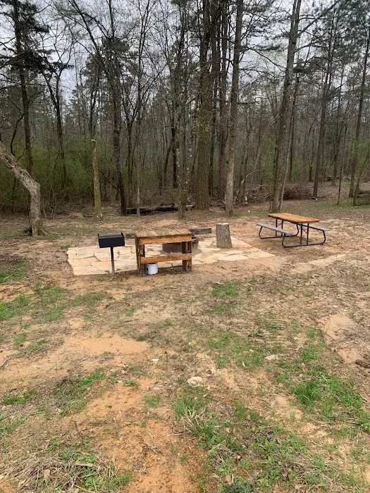 Golden Daze RV Park Picture 7