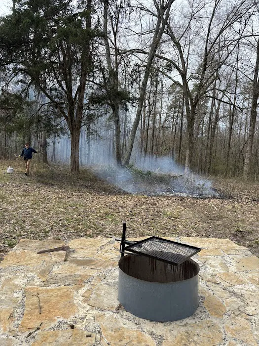 Golden Daze RV Park Picture 6