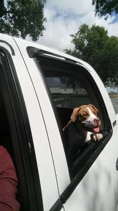 Mountain View Mobile Home Park Picture 2