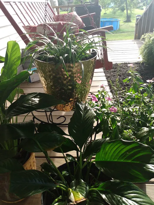 Mountain View Mobile Home Park Picture 6