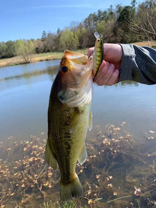 Mena Creekside RV Park Picture 2