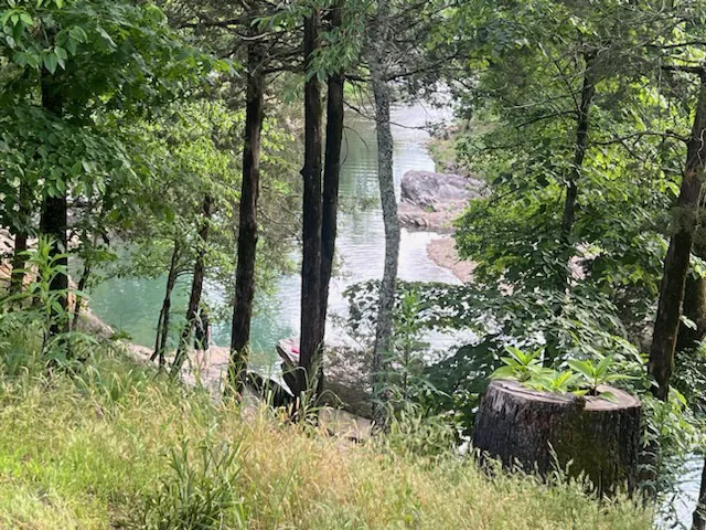 Mena Creekside RV Park Picture 5