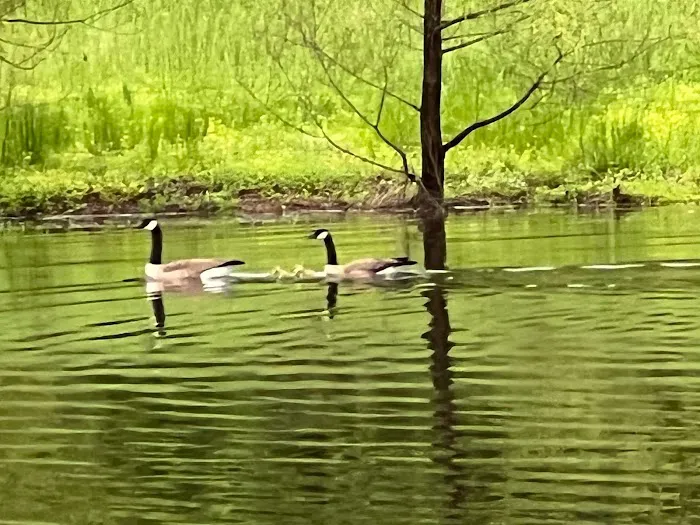 Mena Creekside RV Park Picture 8