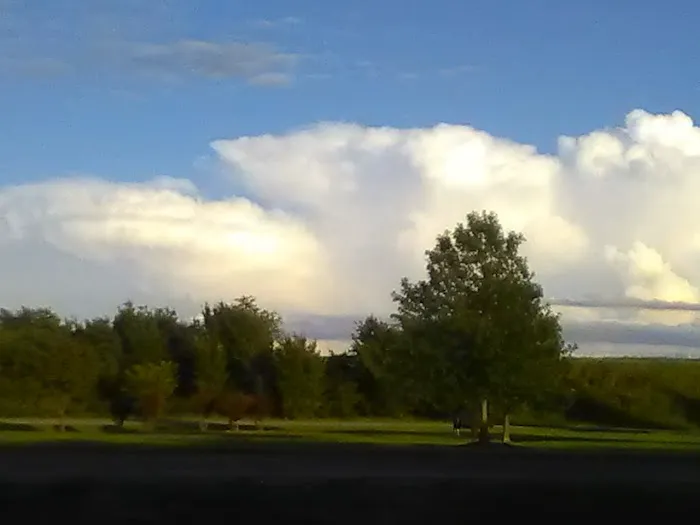 Tiny Homes RV Park Picture 4