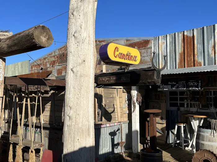 The Willows of Los Trece RV Park Picture 5