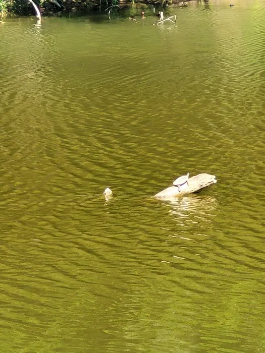 Riverside Park RV- City of Brownwood Picture 2