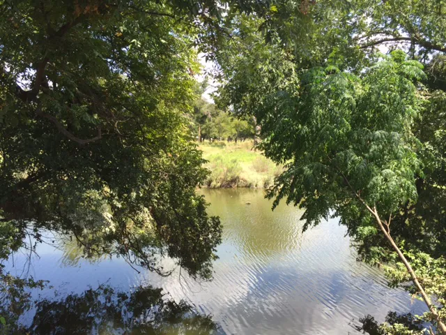 Riverside Park RV- City of Brownwood Picture 6