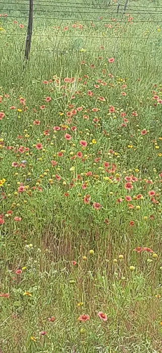 Two Sisters RV Park Picture 8