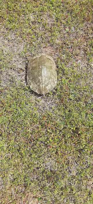 Two Sisters RV Park Picture 3