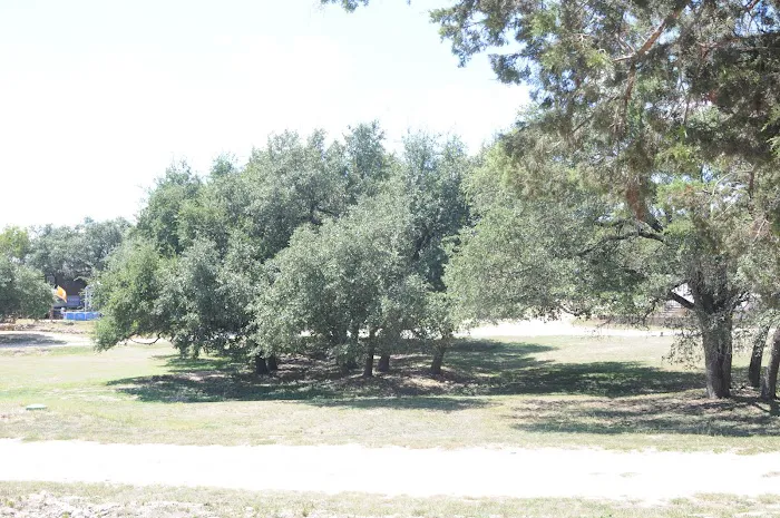 Patriot RV Park - Burnet Picture 6