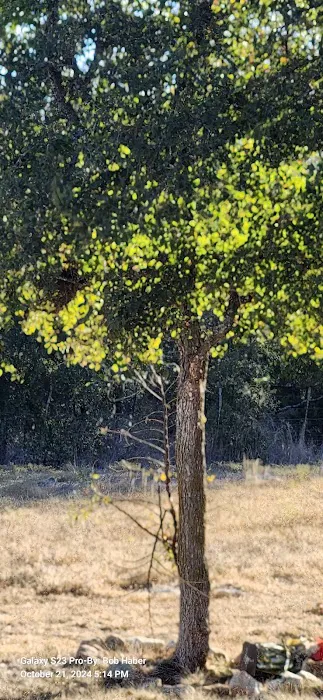 LBJ Property Rental R.V. Park Picture 4