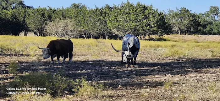 LBJ Property Rental R.V. Park Picture 6