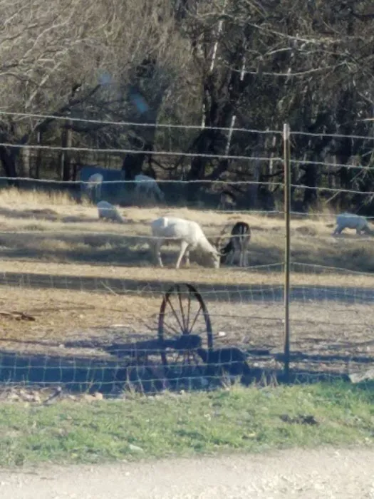 Inks Lake RV Park Inc Picture 2