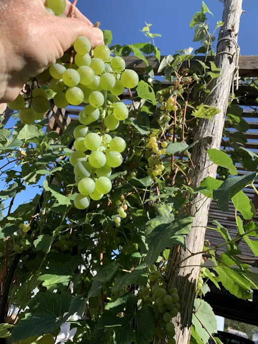 Basecamp RV Picture 1