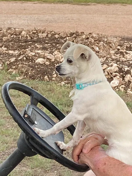 Basecamp RV Picture 6