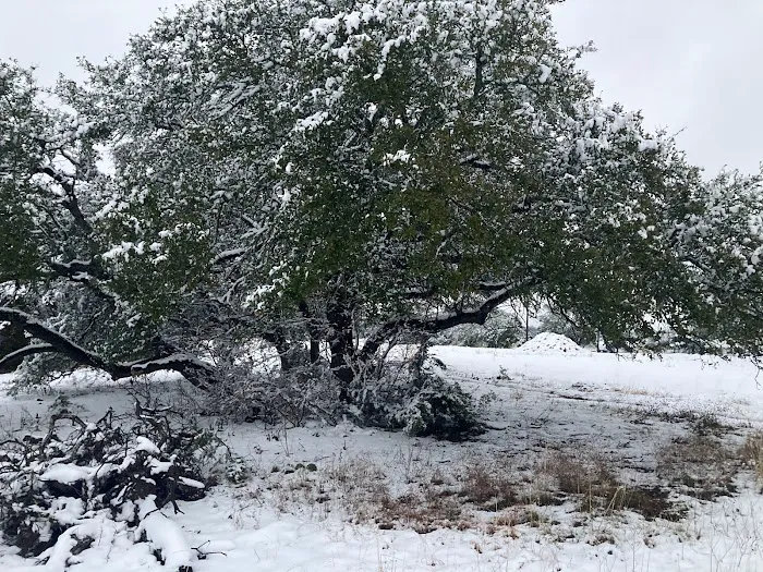 Basecamp RV Picture 7