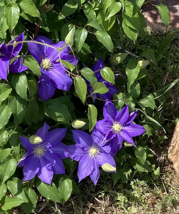 Basecamp RV Picture 8