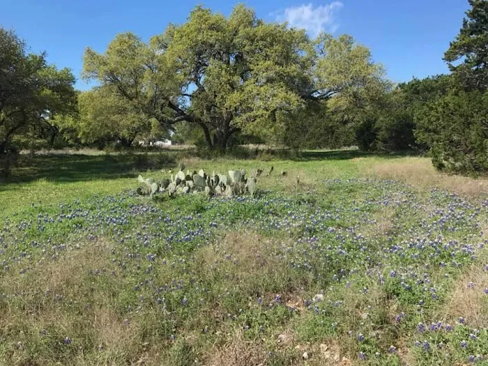 Basecamp RV Picture 9