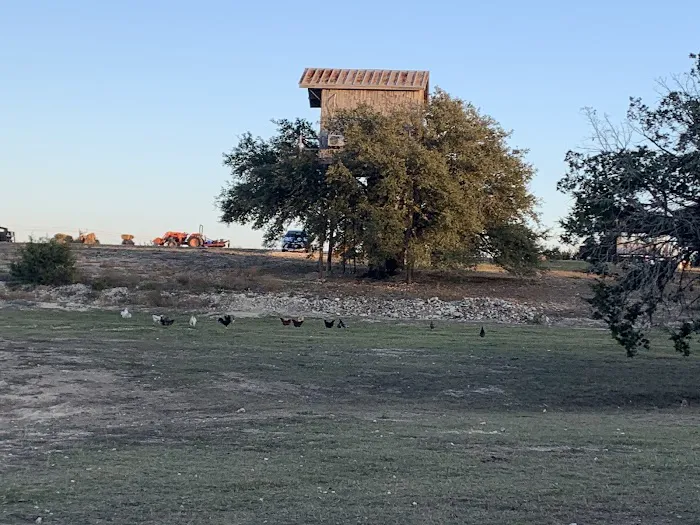 Bent Tree Rv Ranch Picture 10